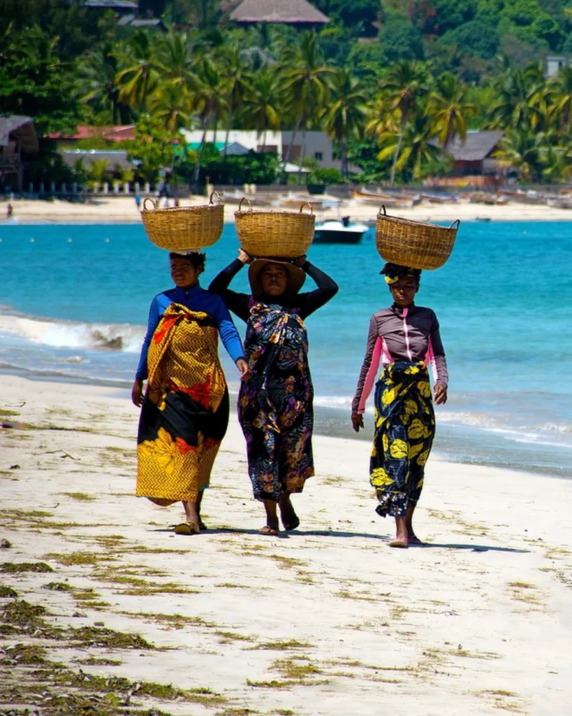 Savoir faire transmis